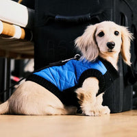 Gooby Fashion Vest Dog Jacket - Blue, X-Large - Warm Zip Up Dog Bomber Vest with Dual D Ring Leash - Winter Water Resistant Small Dog Sweater - Dog Clothes for Small Dogs Boy or Medium Dogs X-Large chest (~20.5