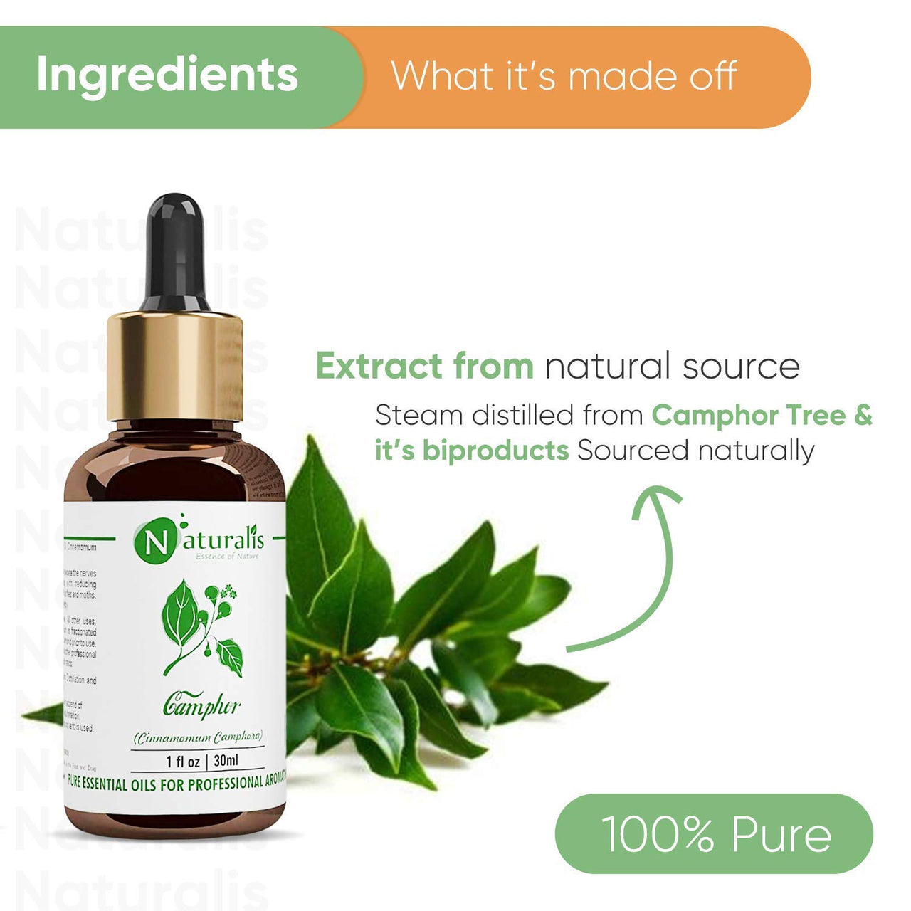 Naturalis Camphor Oil - Pure and Natural Steam Distilled Camphor Essential Oil for Skin, Hair and Aromatherapy - Camphor Mosquito Repellent - 30ml
