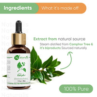 Naturalis Camphor Oil - Pure and Natural Steam Distilled Camphor Essential Oil for Skin, Hair and Aromatherapy - Camphor Mosquito Repellent - 30ml