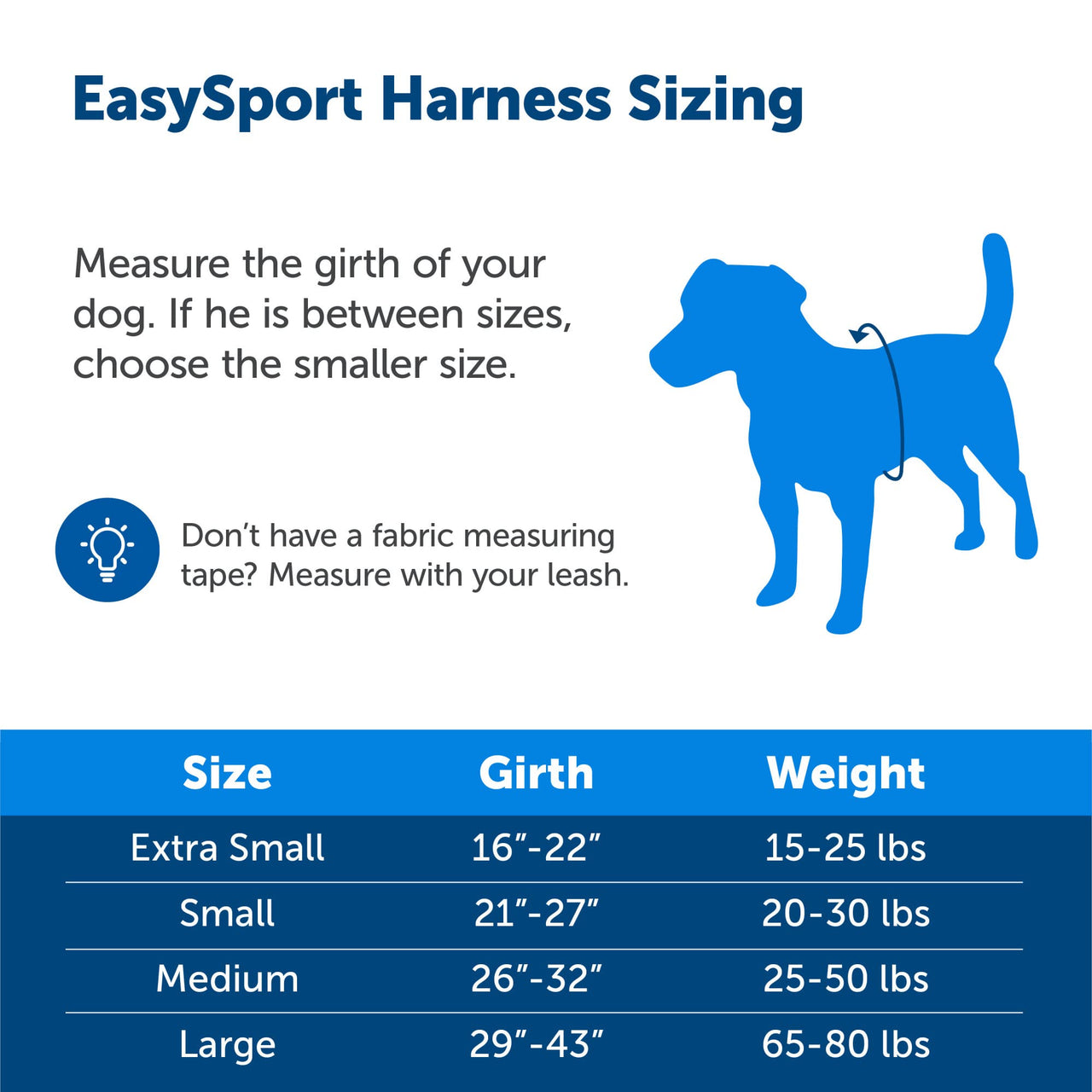 PetSafe EasySport Dog Harness - Padded, Adjustable Dog Harness with Control Handle and Reflective Piping - Great for Active Dogs - from The Makers of The Easy Walk Harness - Small, Charcoal