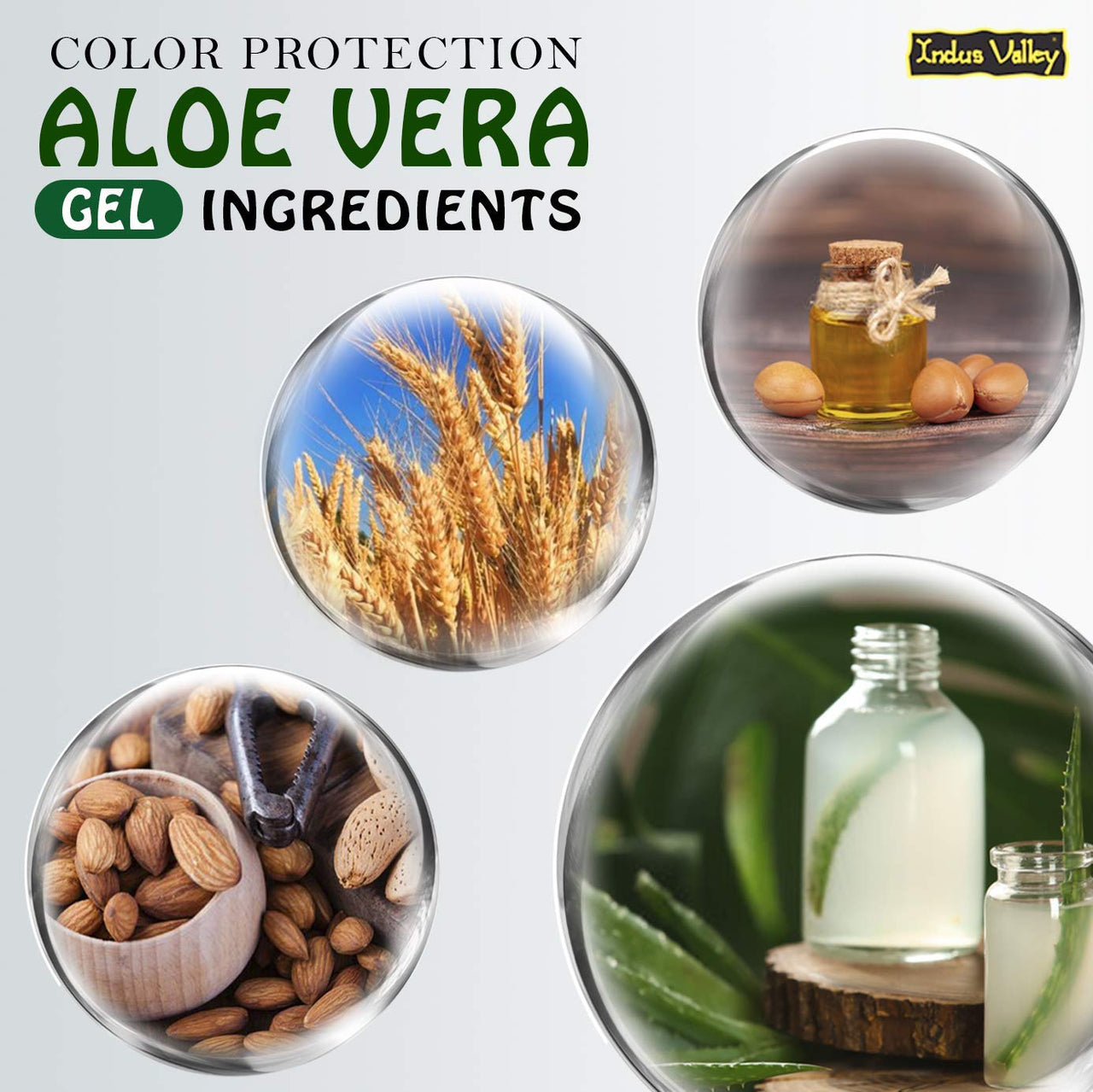 INDUS VALLEY Bio Organic Color Protection Aloe Vera Gel With Argan Oil For Rich Colour & Shiny Hair - (175 x 2 = 350ml) Set of 2