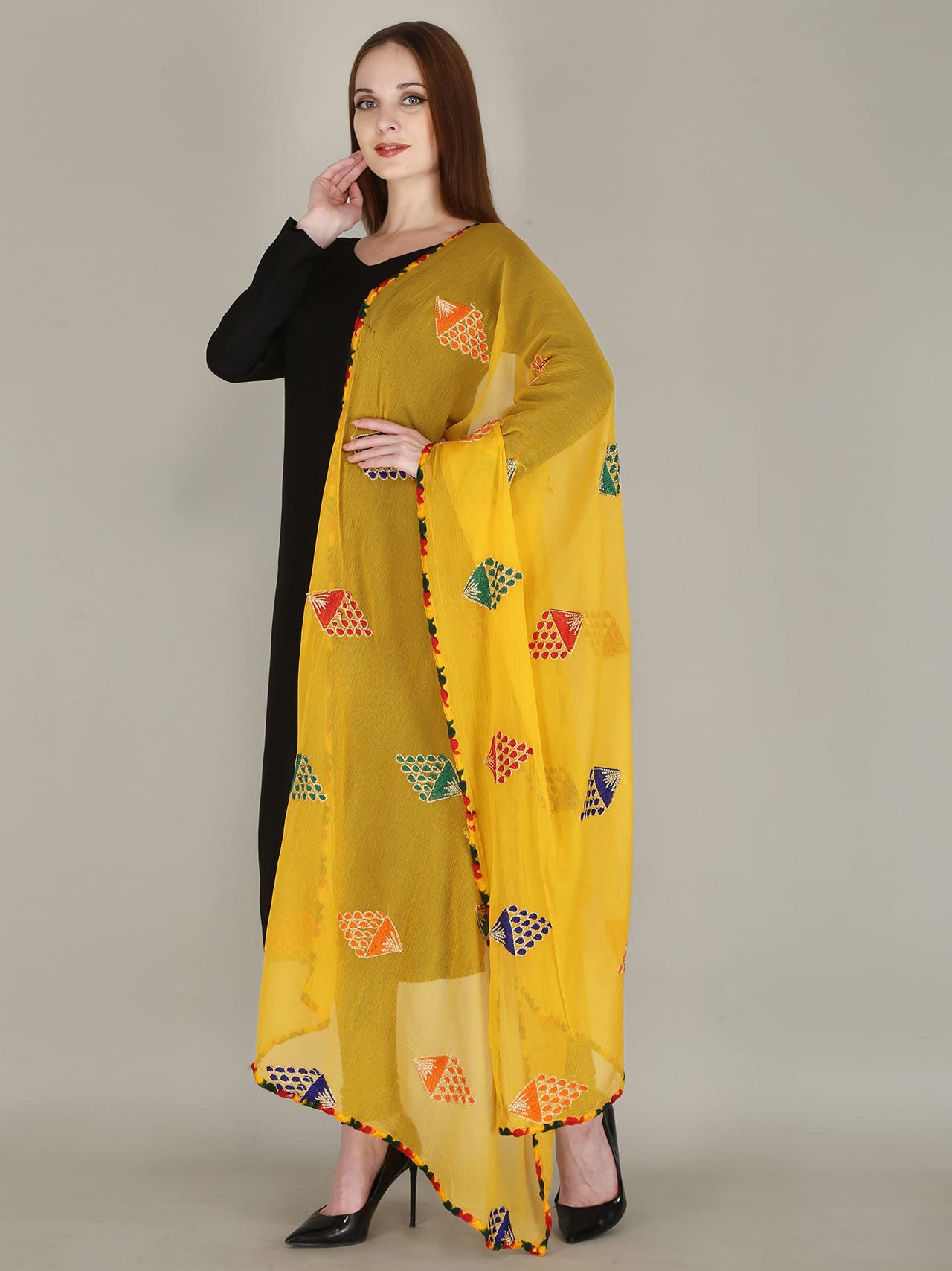 DIAMO Embroidered Chiffon Women's  Dupatta