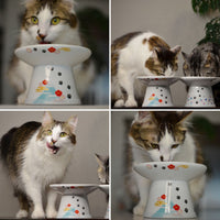 Necoichi Extra Wide Raised Cat Food Bowl, Elevated, Prevent Neck & Whisker Fatigue, Dishwasher and Microwave Safe, No.1 Seller in Japan! (Fuji Limited Edition, Extra Wide)