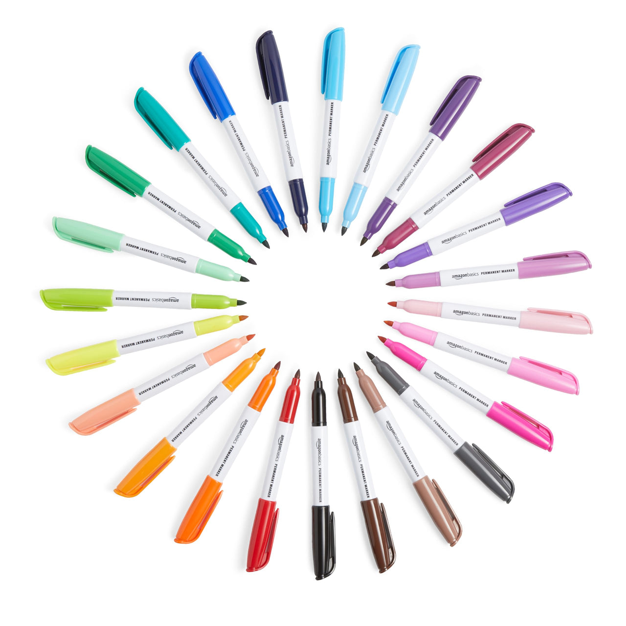 Basics Fine Point Tip Permanent Markers, Black, 24-Pack 1 Count (Pack of 24)