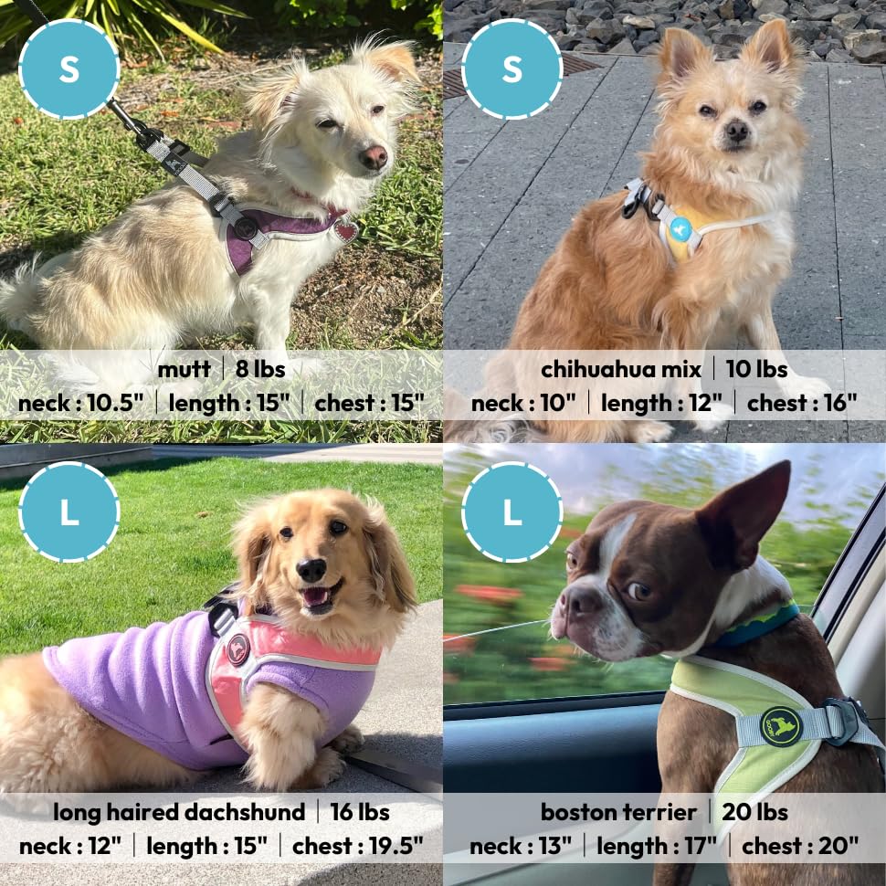 Gooby Simple Step in III Harness - Blue, X-Small - Small Dog Harness with Scratch Resistant Outer Vest - Soft Inner Mesh Harness for Small, Medium Dogs X-Small chest (12∼14.75")