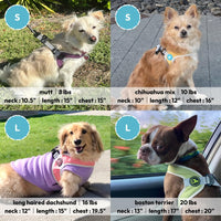 Gooby Simple Step in III Harness - Blue, X-Small - Small Dog Harness with Scratch Resistant Outer Vest - Soft Inner Mesh Harness for Small, Medium Dogs X-Small chest (12∼14.75