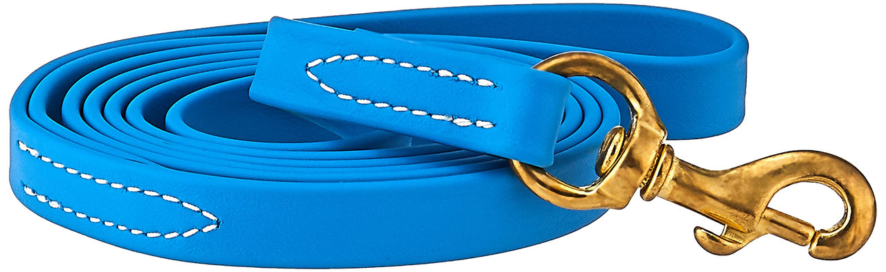 J&J Dog Supplies Biothane Dog Leash, 3/4" Wide by 6' Long, Sky Blue