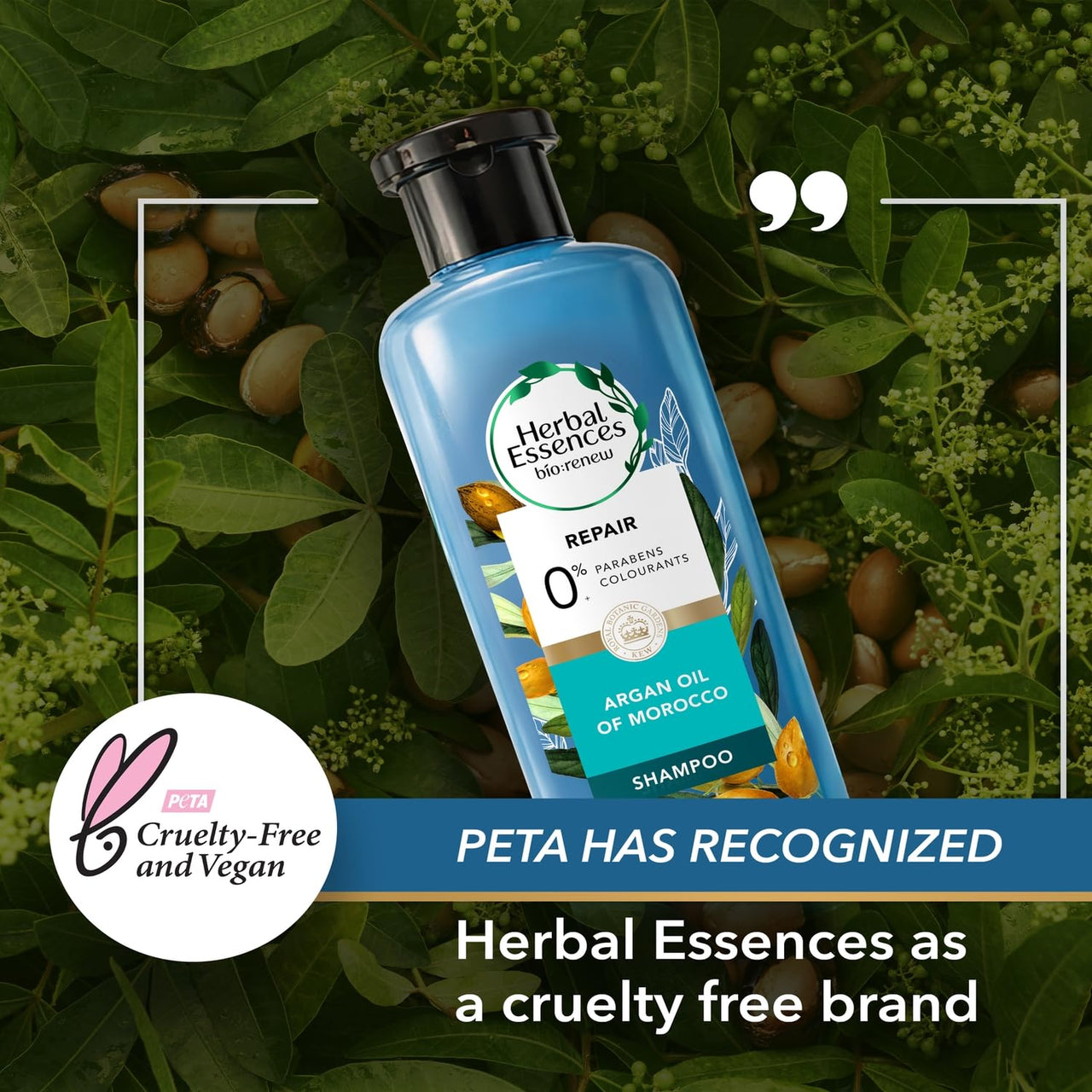 Herbal Essences Argan Oil of Morocco SHAMPOO- For Hair Repair and No Frizz- No Paraben, No Colorants, 240ML