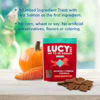 Lucy Pet Hip To Be Square Salmon And Pumpkin Dog Treats 6Oz 6 Ounce (Pack of 1)