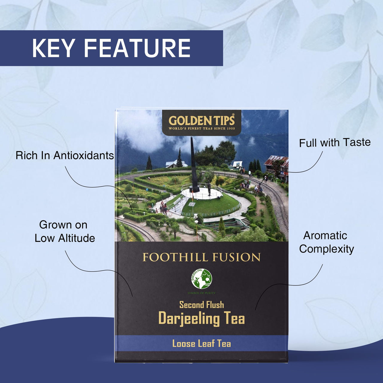 Golden Tips Foothill Fusion Loose Leaf Fine Green Tea (250gm-125 Cups)