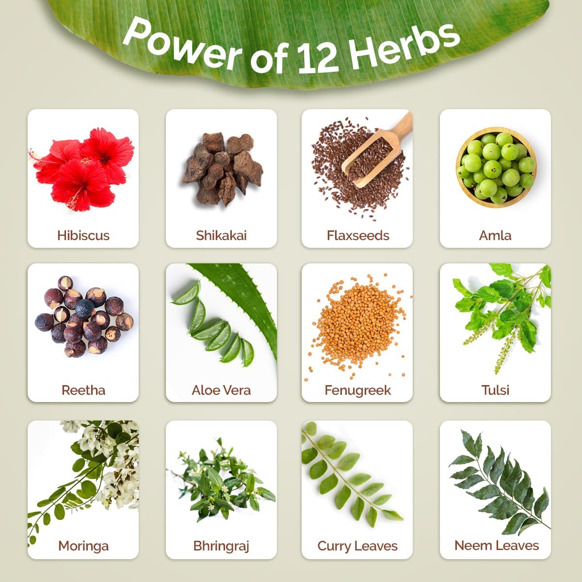 Mamaearth Kerala Thaali Nourish & Cleanse Combo (Kerala Thaali Hair Oil - 150 ml + Kerala Thaali Shampoo - 250 ml)| Goodness of 12 Herbs | Kerala’s Generational Expertise | 100% Natural Herbs