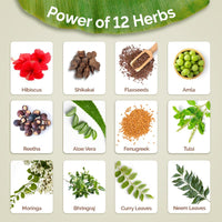 Mamaearth Kerala Thaali Nourish & Cleanse Combo (Kerala Thaali Hair Oil - 150 ml + Kerala Thaali Shampoo - 250 ml)| Goodness of 12 Herbs | Kerala’s Generational Expertise | 100% Natural Herbs