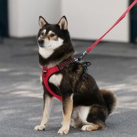 Voyager Dog Harness Dual Leash Attachment No-Pull Control Adjustable Soft but Strong Pet Harness for Medium and Large Dogs with 3M Reflective Technology - Red Lattice, S (Chest: 16 - 20