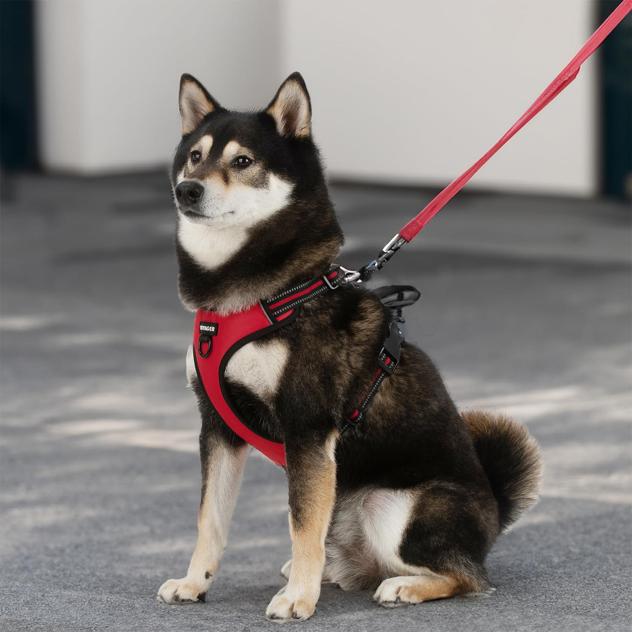 Voyager Dog Harness Dual Leash Attachment No-Pull Control Adjustable Soft But Strong Pet Harness For Medium And Large Dogs With 3M Reflective Technology - Red Lattice, M (Chest: 20 - 25") M (Chest: 20 - 25") Harness (Red Lattice Nylon)