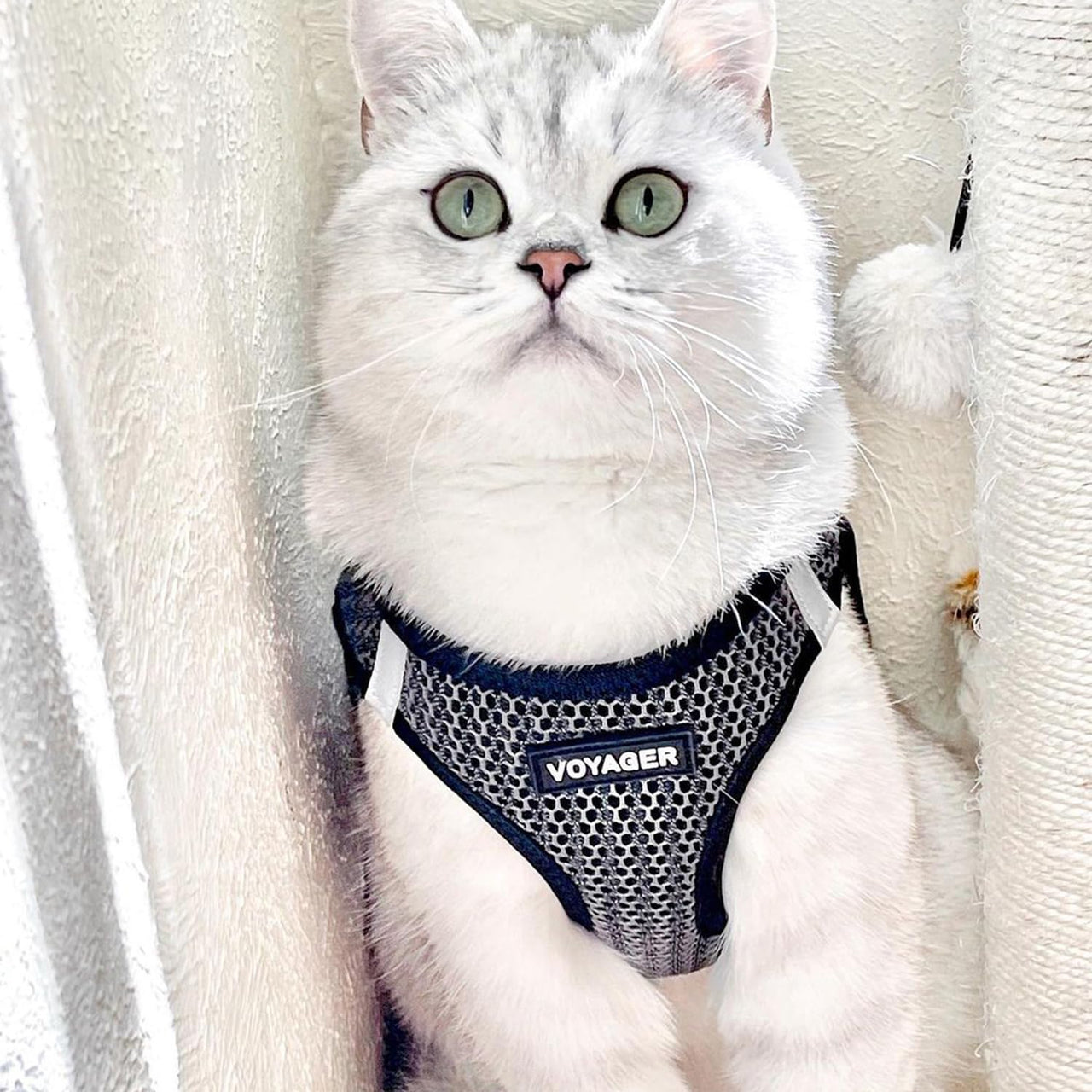 Voyager Step-in Air Dog Harness - All Weather Mesh Step in Vest Harness for Small and Medium Dogs and Cats by Best Pet Supplies - Harness (Gray 2-Tone), L (Chest: 18-20.5")