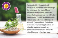 Deve Herbes PEPPY - INSTANT ENERGY BOOST - Aromatherapy Essential Oil Blend for Instant Physical & Mental Energy with Spearmint, Lemon, Cajeput, Ginger, Frankincense & Nutmeg Essential Oils 10ml