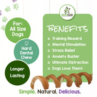 Nature Gnaws Bully Stick Springs for Dogs - Premium Natural Beef Dental Bones - Long Lasting Curly Dog Chew Treats for Aggressive Chewers - Rawhide Free 6 Count (Pack of 1)