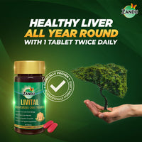 Zandu Livital Liver Tablets – Clinically Proven for Liver Detox & Health Support in 2 Months | 90 Tabs | Ayurvedic Formula with Bhringaraj & Guduchi | 100% Ayurvedic Ingredients