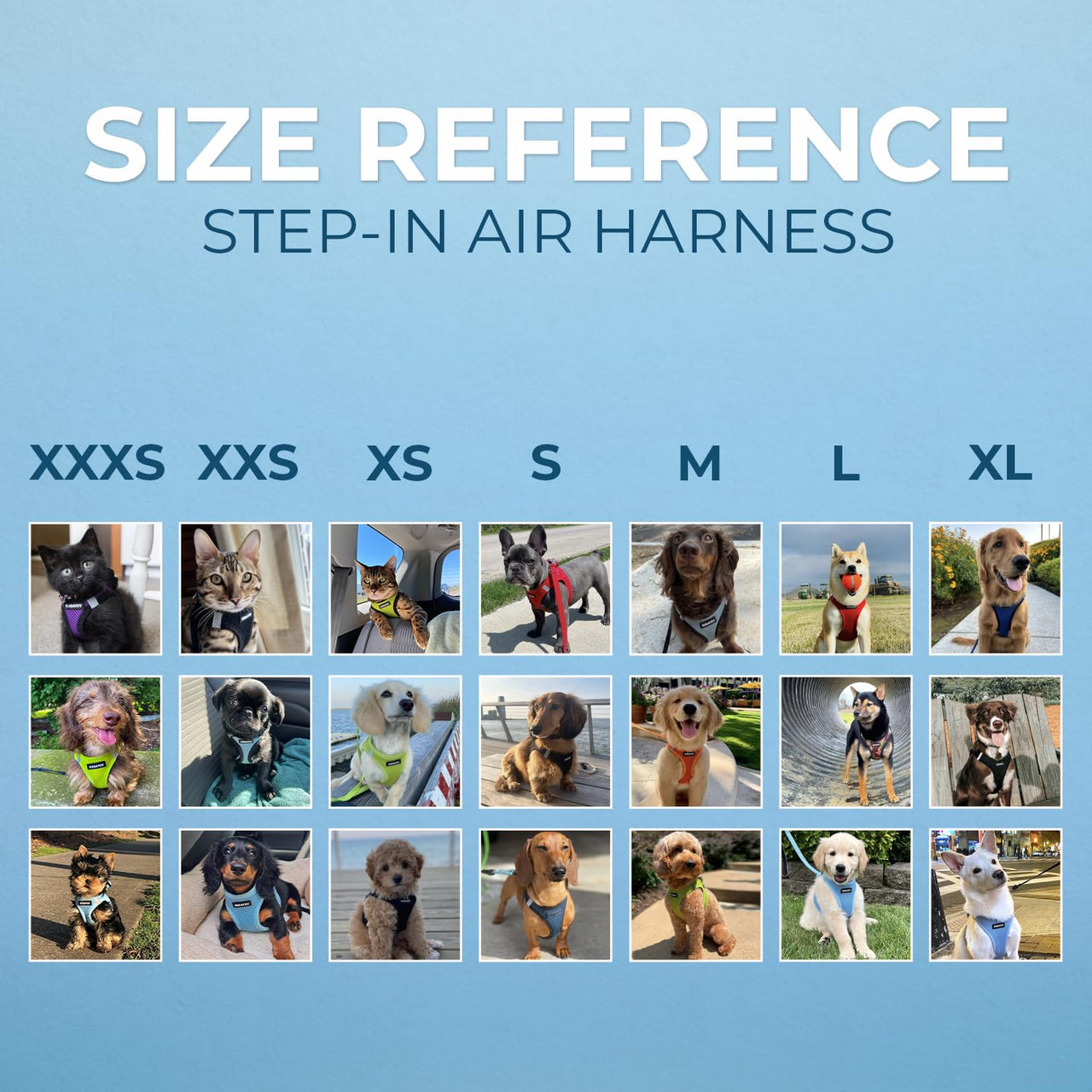 Voyager Step-in Air Dog Harness - All Weather Mesh Step in Vest Harness for Small and Medium Dogs and Cats by Best Pet Supplies - Harness (Black), S (Chest: 14.5-16") Harness (Black) S (Chest: 14.5 - 16")