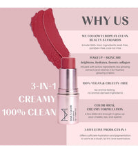 House Of Makeup Dab N Glow Lip Tint | Pigmented Blusher For Face Makeup | Creamy, Easy-Blend Lip And Cheek Tint | Lip Tint For Women & All | Multi-Use Tint for Cheeks And Lips | 8 gms | Burnt Rose