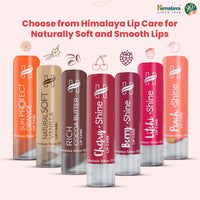 Himalaya Shine Lip care