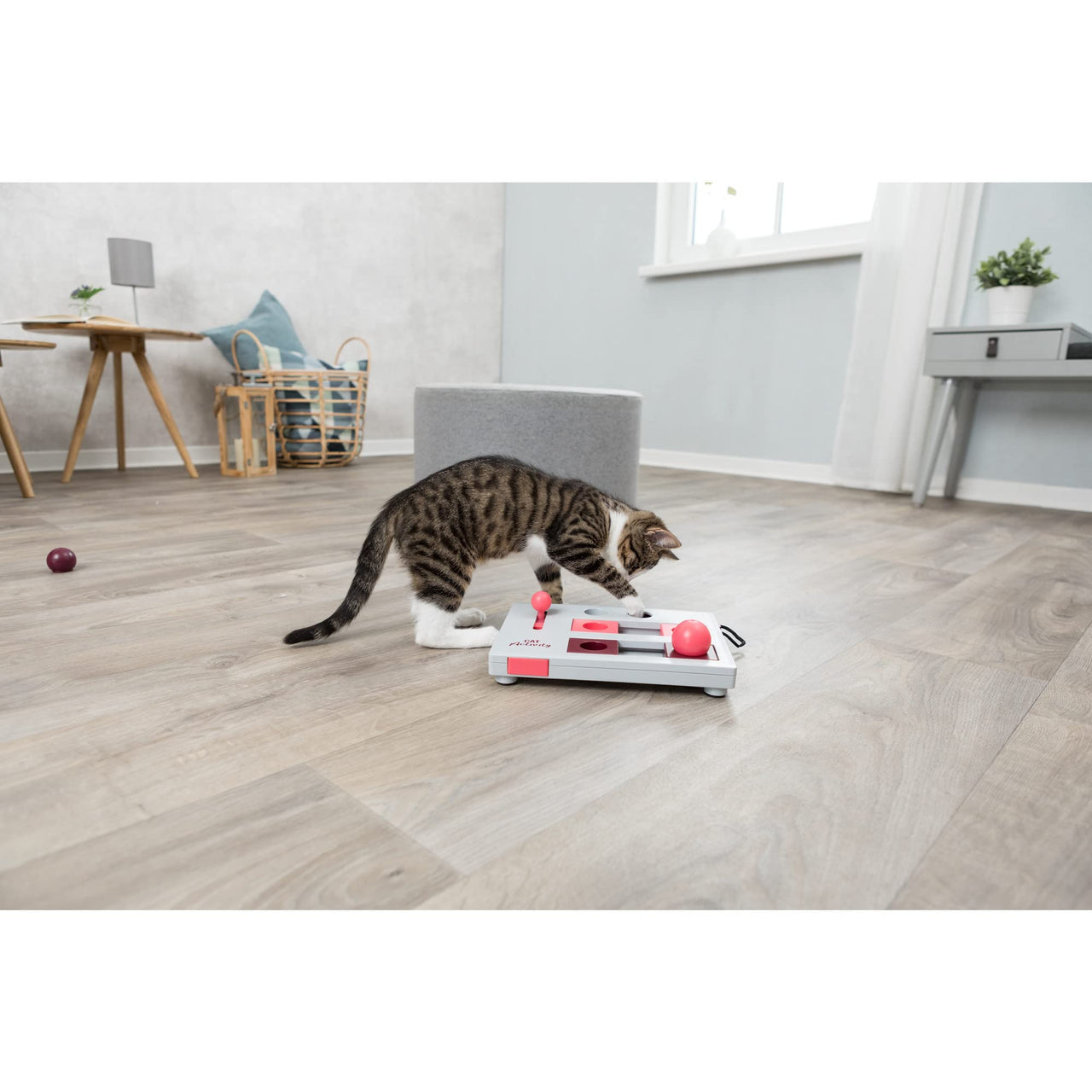 TRIXIE Cat Activity Brain Mover, Strategy Game for Mental Stimulation, Interactive Play for Cats, Treat Dispenser, Cat Toy 7.75 x 6.5