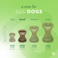 Benebone Dental Durable Dog Chew Toy for Aggressive Chewers, Real Bacon, Made in USA, Small