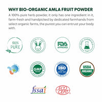 INDUS VALLEY Bio Organic Herbal Henna Powder Rich Colour and Lustrous Shine with Hair Dye Brush (100g) - Green