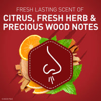 Old Spice Krakengard, 3 oz