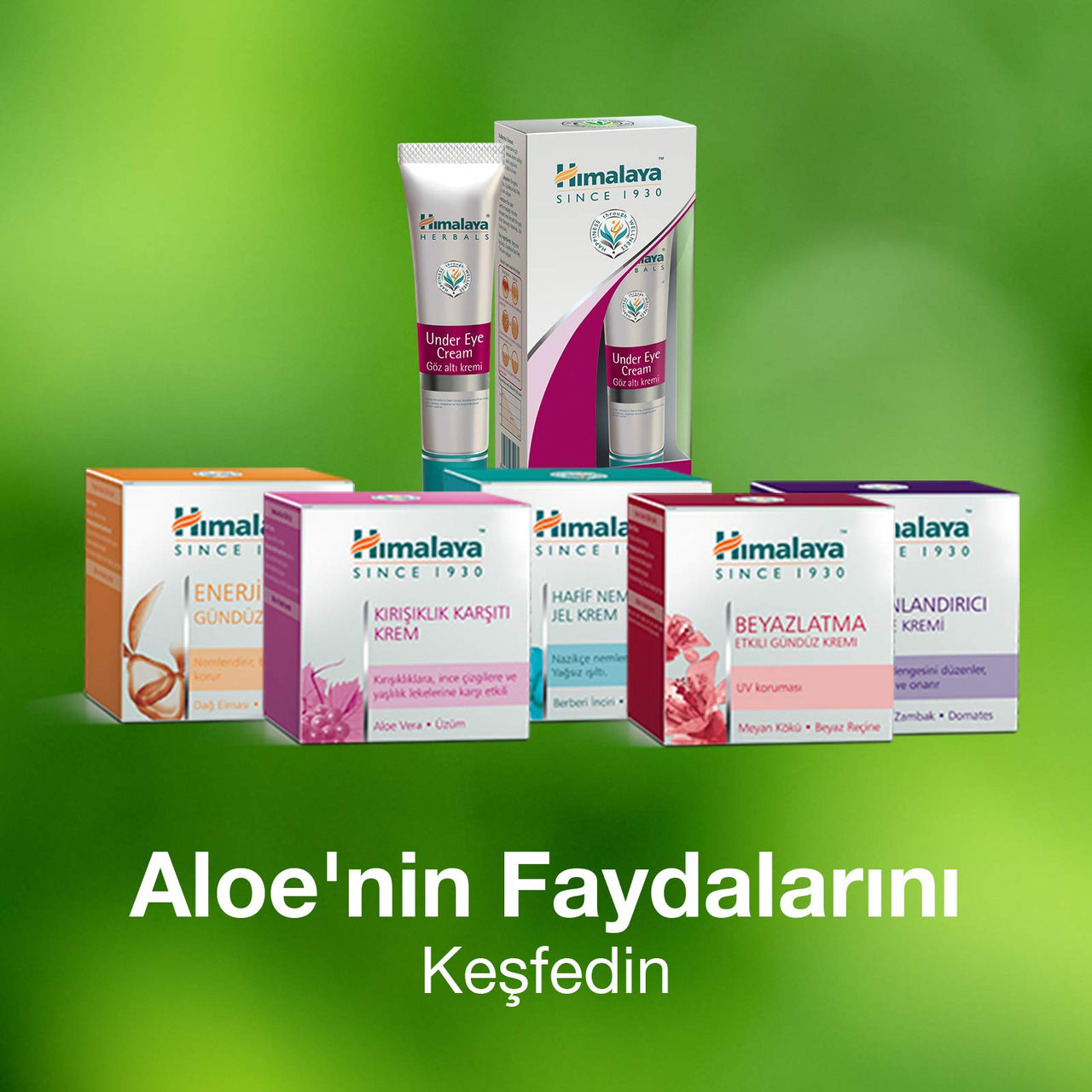 Himalaya Revitalizing Night Cream with white lily | Renews, repairs & hydrates skin overnight | rich in AHA & Anti-oxidants | Derma-tested | Paraben Free | Suitable for Dry to combination skin| 50g