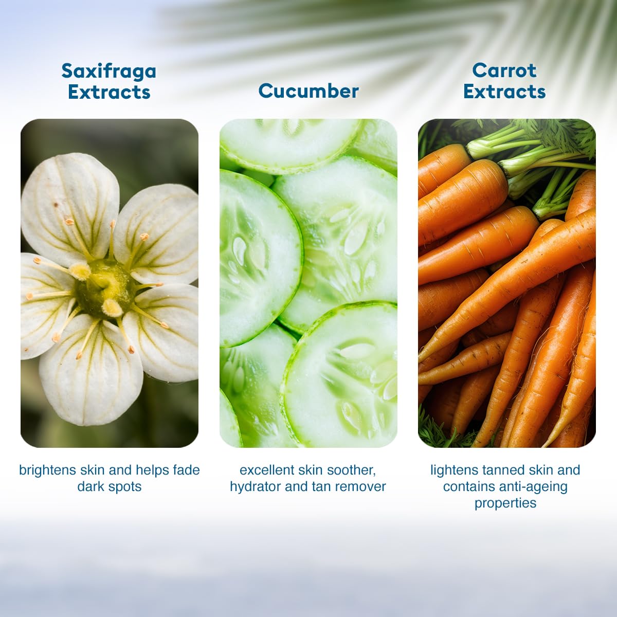 VLCC De-Tan SPF 50 PA+++ Sunscreen Gel Crème - 100g + 10g | With Cucumber, Carrot, and Saxifraga Extracts | Enhances Glow, Protects from UVA, UVB Rays, and Help Reduce Dark Patches.