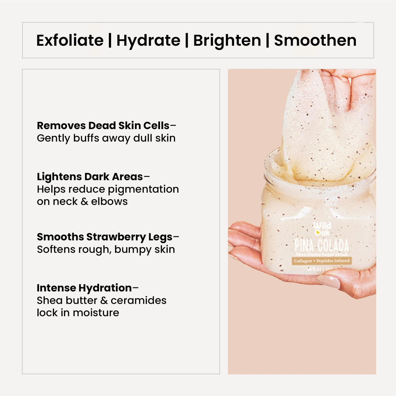 WildOak Pina Colada Shea Butter Sugar Scrub | 300gm | With Collagen & Peptides | Tan Removal | Lightens Dark Area Like Neck & Elbows | Smoothen Bumpy Legs & Hands | Ultra Hydrating & Exfoliating Scrub