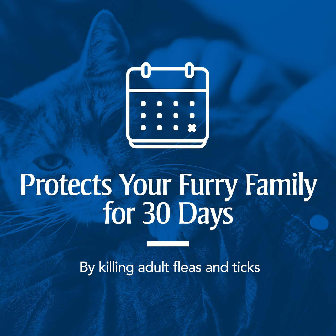 PetArmor for Dogs, Flea and Tick Treatment for Small Dogs (5-22 Pounds), Includes 6 Month Supply of Topical Flea Treatments 6 Count 5-22 lbs