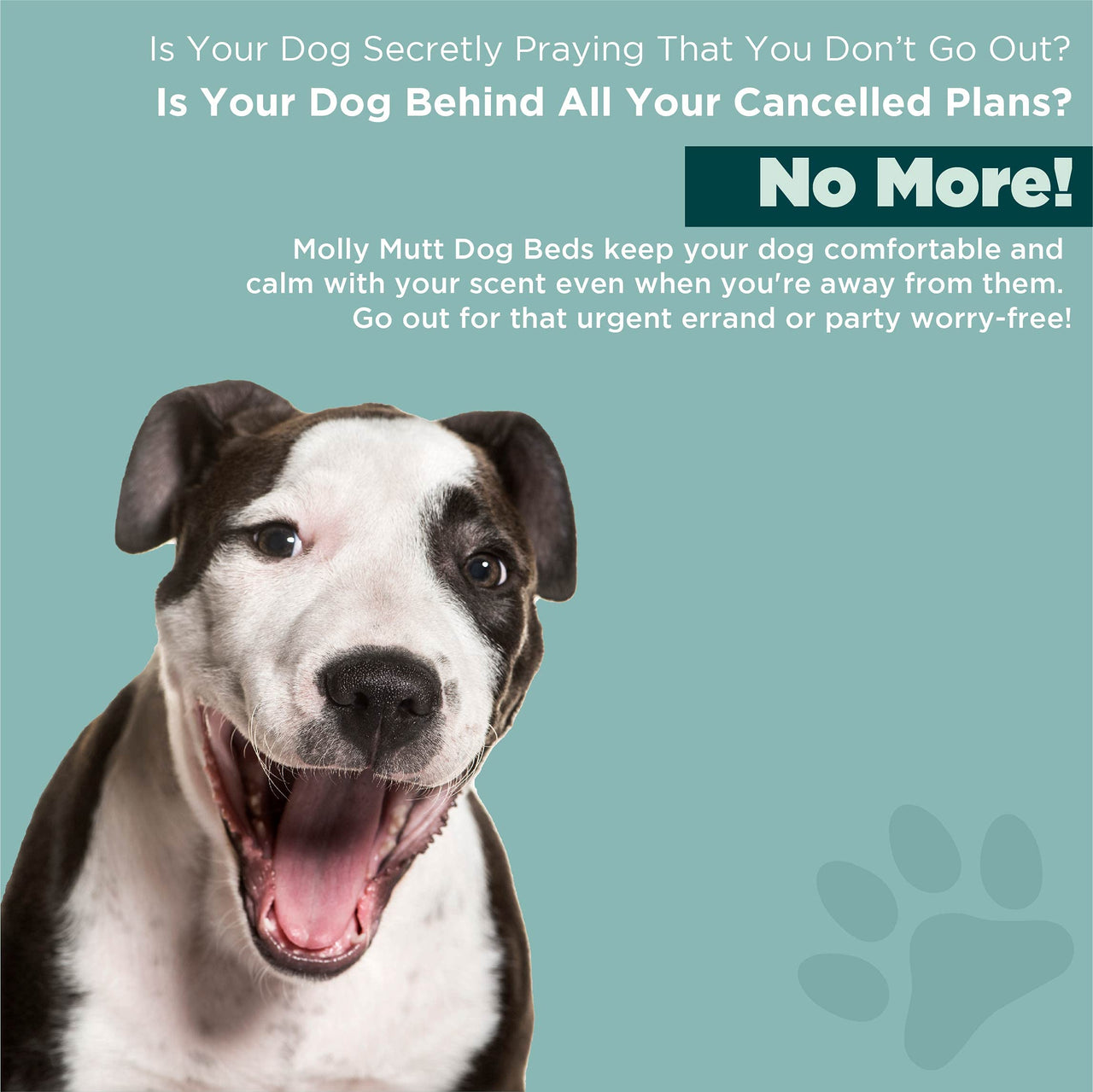 Molly Mutt Water-Resistant Dog Bed Liner, Nylon Bed Liner For Dogs, Easy To Clean, Gray, Round, 36”x36”x4.75” 36" x 4.75" Round Old Version