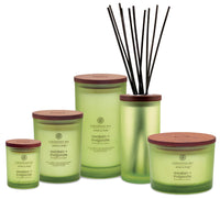 Chesapeake Bay Candle PT40886 Scented Candle, Awaken + Invigorate (Lemongrass Eucalyptus), Medium , Green, Home Décor AWKE/INVGRTE Medium Jar