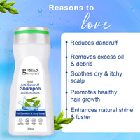 Globus Naturals Anti Dandruff Shampoo, For Dandruff and Itchy Scalp, Suitable For All Hair Types, 200 ml (Pack of 3)