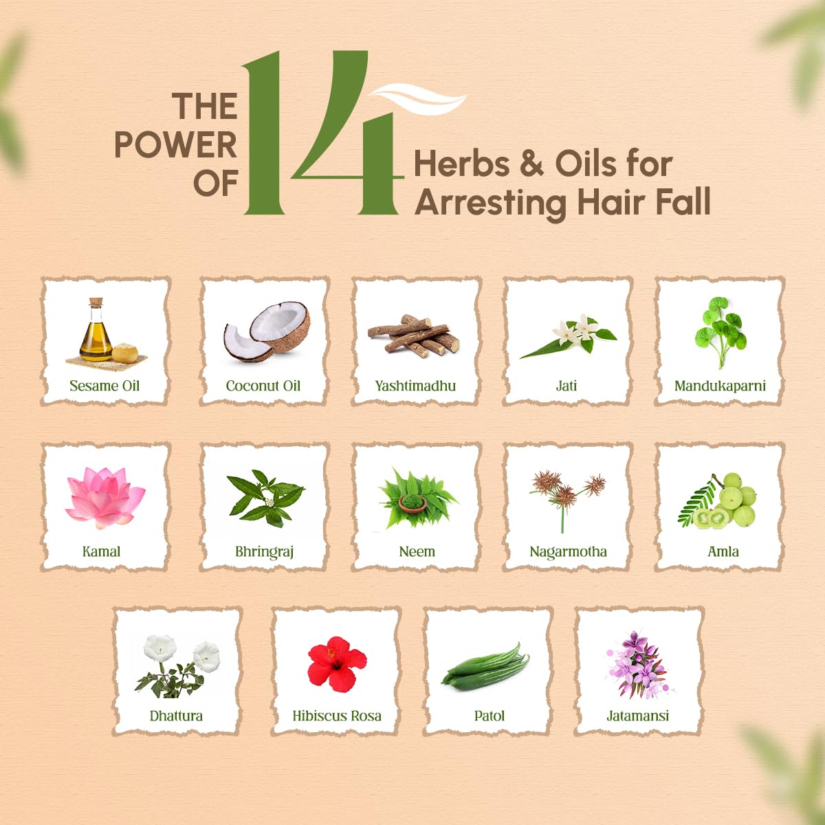 Trichup Ayurvedic Hair Fall Control Oil | No Mineral & Paraben- Pack of 3 x 100ml