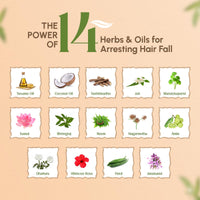 Trichup Ayurvedic Hair Fall Control Oil | No Mineral & Paraben- Pack of 3 x 100ml