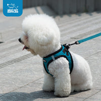 Voyager Step-in Plush Dog Harness – Soft Plush, Step in Vest Harness and Reflective Dog 5 ft Leash Combo with Neoprene Handle for Small and Medium Dogs by Best Pet Supplies -Set (Latte Suede), M Harness Leash Set (Latte Suede) M (Chest: 16 - 18