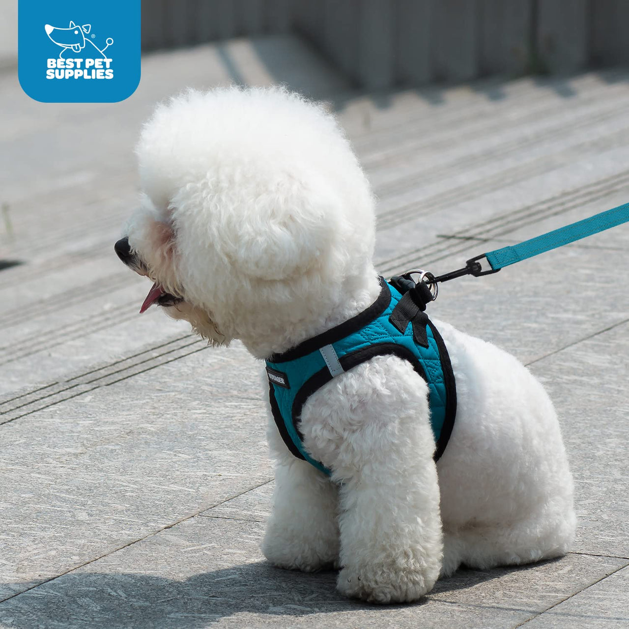 Voyager Step-in Plush Dog Harness – Soft Plush, Step in Vest Harness and Reflective Dog 5 ft Leash Combo with Neoprene Handle for Small and Medium Dogs by Best Pet Supplies -Set (Latte Suede), XS Harness Leash Set (Latte Suede) XS (Chest: 13 - 14.5")