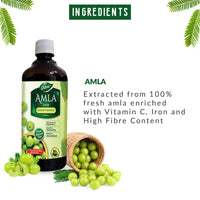 Dabur Amla Juice -1L | Rich Source of Vitamin C | Effective Antioxidants for Immunity boosting | Pure, Natural and 100% Ayurvedic Juice