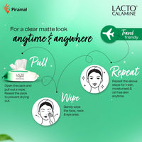 Lacto Calamine Daily Cleansing Facial Wipes 25N Each - Pack of 3 | Wet Wipes for Face with Aloe Vera, Cucumber & Vitamin E | Makeup Remover Wipes| Hydrating,Refreshing, Soothing|Paraben & Alcohol Free