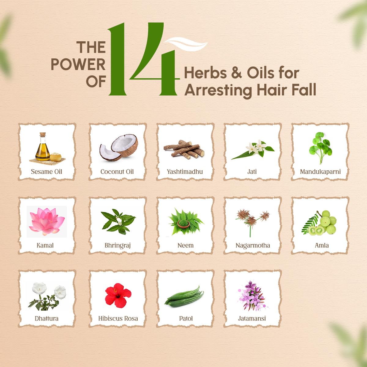 Trichup Ayurvedic Hair Fall Control Oil | No Mineral & Paraben- Pack of 4 x 200ml