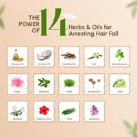 Trichup Ayurvedic Hair Fall Control Oil | No Mineral & Paraben- Pack of 4 x 200ml