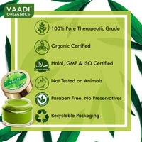 Vaadi Herbals Value Lip Balm, Mint, 4 x 10g