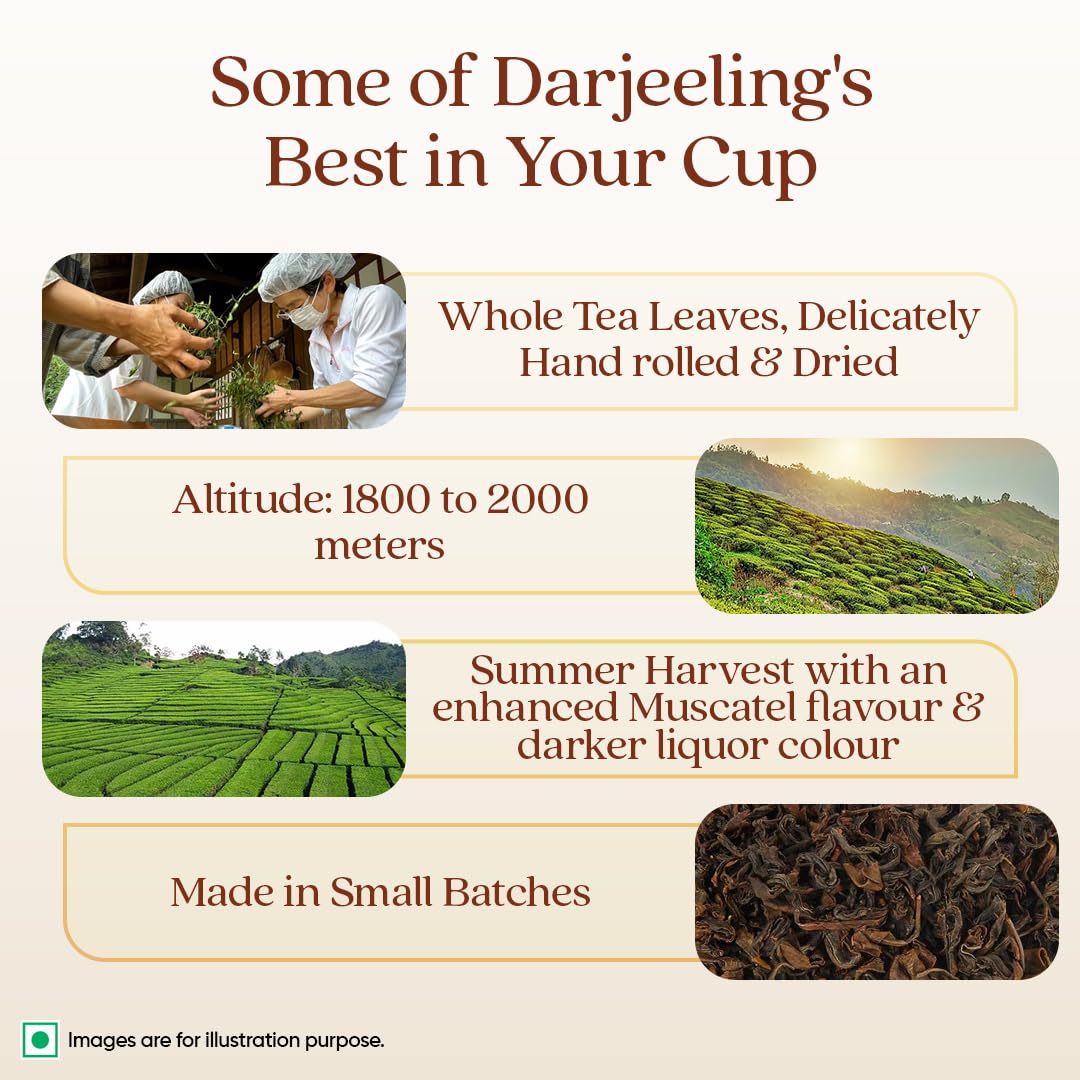 1868 by TATA Tea Darjeeling Rare Wonder, Pure Darjeeling Black Tea, Hand Rolled, Whole Loose Leaf, Second Flush, Muscatel Flavour, From House of TATA (25 Cups/50g)
