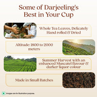 1868 by TATA Tea Darjeeling Rare Wonder, Pure Darjeeling Black Tea, Hand Rolled, Whole Loose Leaf, Second Flush, Muscatel Flavour, From House of TATA (25 Cups/50g)