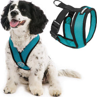 Gooby Comfort X Head in Harness - Turquoise, X-Large - No Pull Small Dog Harness, Patented Choke-Free X Frame - On The Go Dog Harness for Medium Dogs No Pull, Small Dogs for Indoor and Outdoor Use X-Large Chest (20.5-28