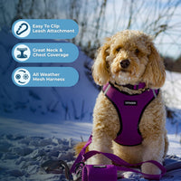 Voyager Step-in Air Dog Harness - All Weather Mesh Step in Vest Harness for Small and Medium Dogs and Cats by Best Pet Supplies - Harness (Purple/Black Trim), S (Chest: 14.5-16