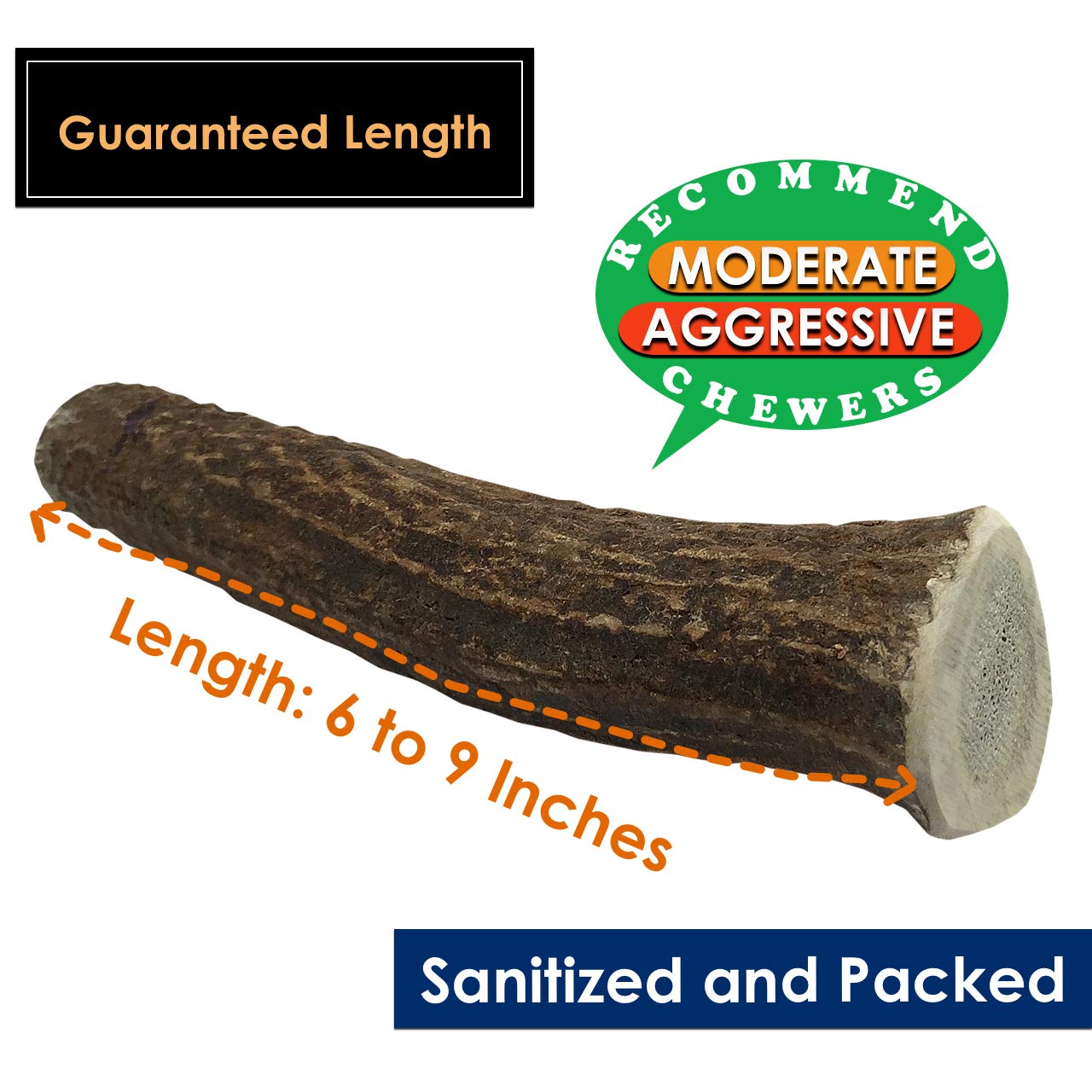 Elk Antler Chews for Dogs | Naturally Shed USA Collected Elk Antlers | All Natural A-Grade Premium Elk Antler Dog Chews | Product of USA, Single Pack Large Whole Large (Pack of 1)